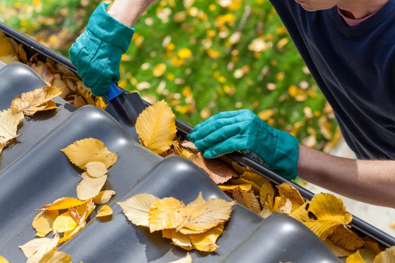 Gutter Covers During Fall